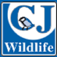 Bird Food UK