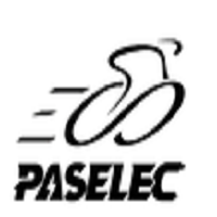 Paselec Ebike