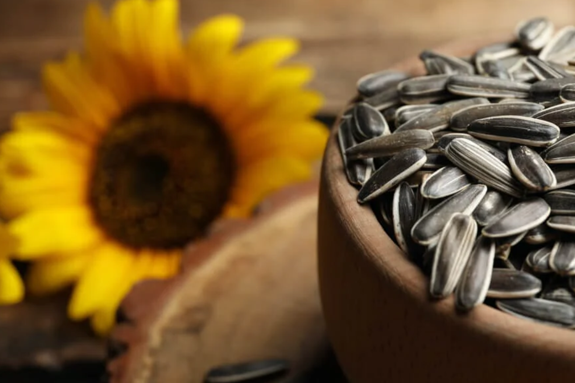 sunflower seed flavors