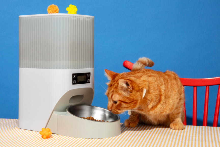 Best Blink Cat Food Picks for UK Cats in 2026
