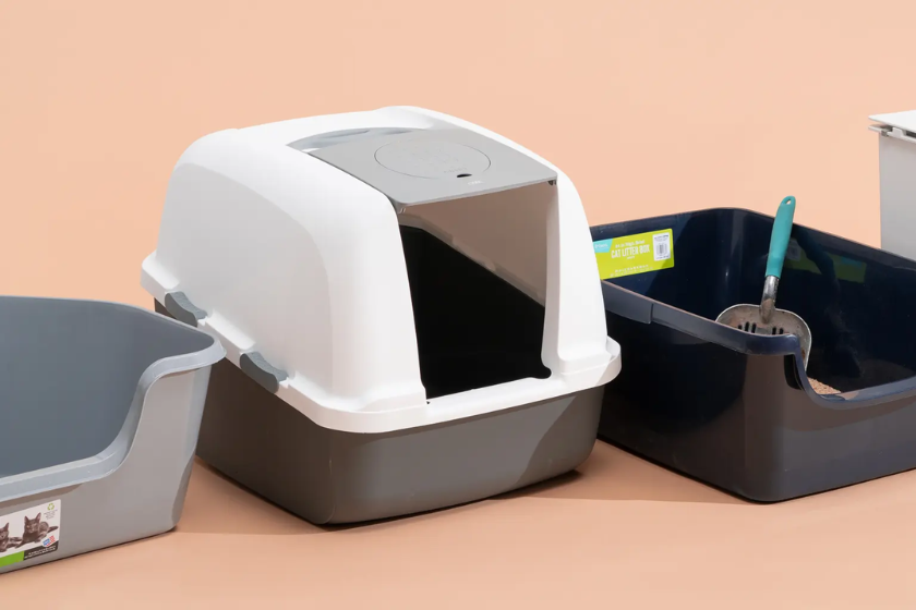 cat litter box